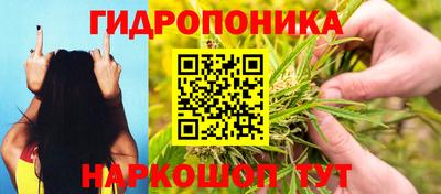 таблы Будённовск