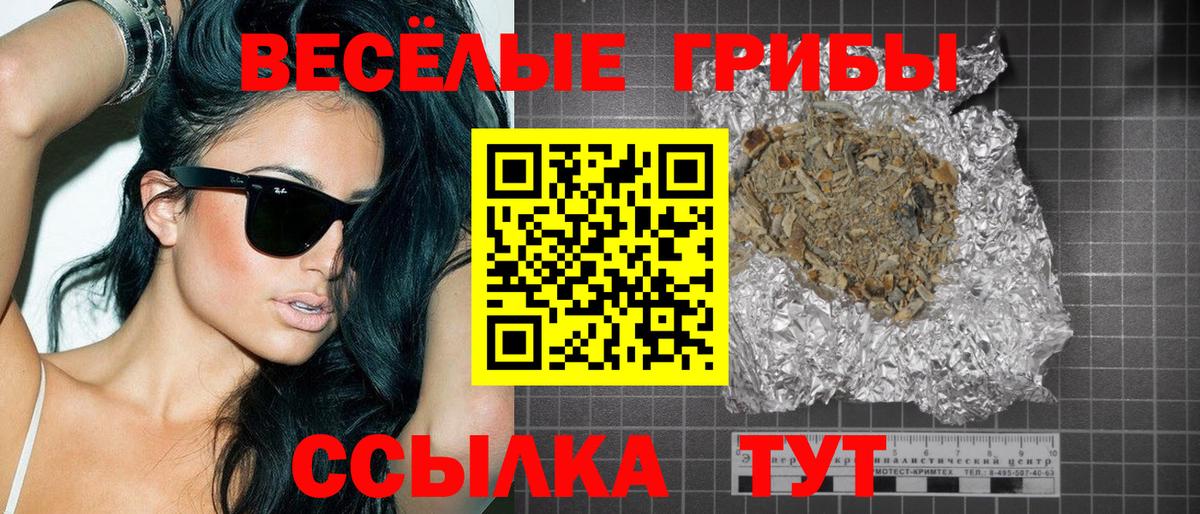 Галлюциногенные грибы Psilocybe Кушва