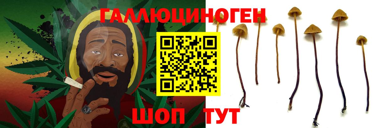 Галлюциногенные грибы MAGIC MUSHROOMS  Вход с VPN  Галлюциногенные грибы прущие грибы  Кушва 